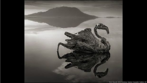 lago natron