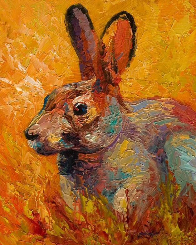 rabbit-iii-marion-rose