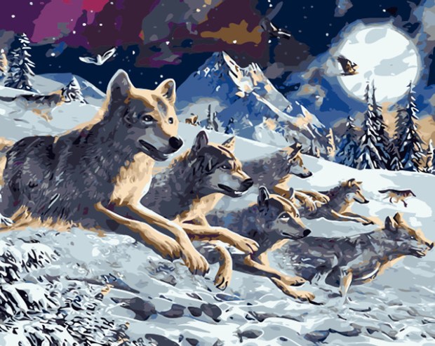Lobos-Nieve-caliente-Pintura-Al-leo-de-DIY-Por-N-meros-de-Animales-Pintura-Al-leo.jpg_640x640