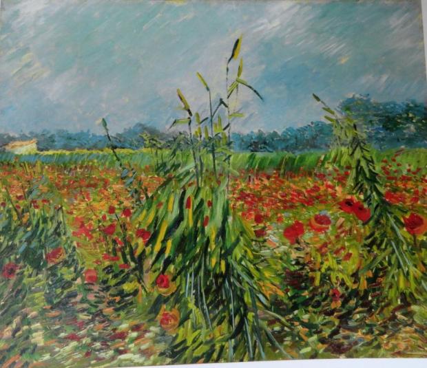 van-gogh-campos-de-trigo-y-amapolas