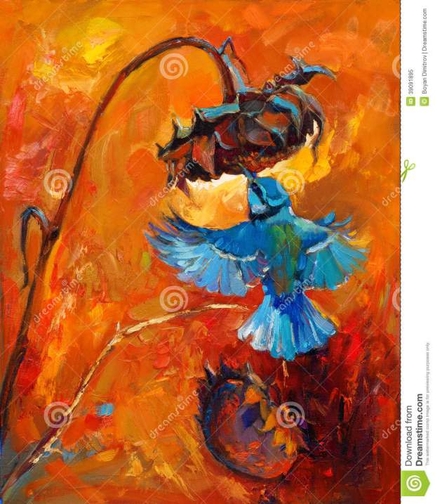 colibrí ко-ибри-39091895