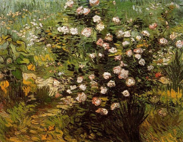Van gogh.rosal