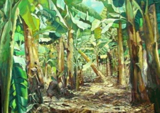 paisaje bananos