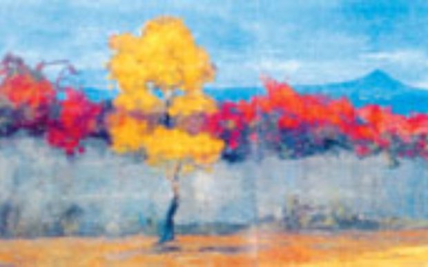 paisaje saravia fernando