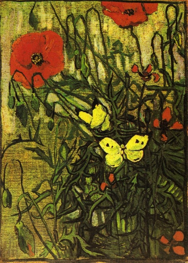 Vangogh mariposas