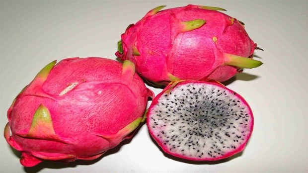 pitahaya (3)