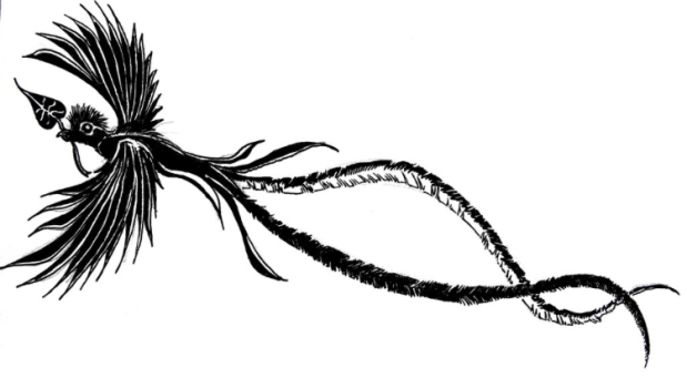 pajaro-reloj-cuento-maya