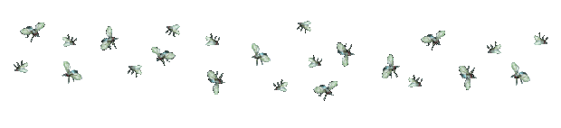 Resultado de imagen para gif moscas volando
