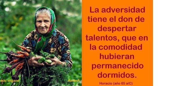 425818_10151303334456496_545691689_n