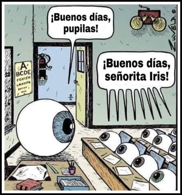 72709400_2161932784111132_8016907846438354944_n