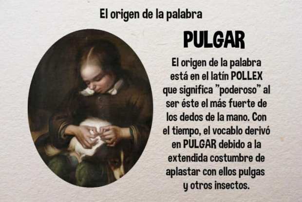 73047400_2342761042512579_2863336679131840512_n