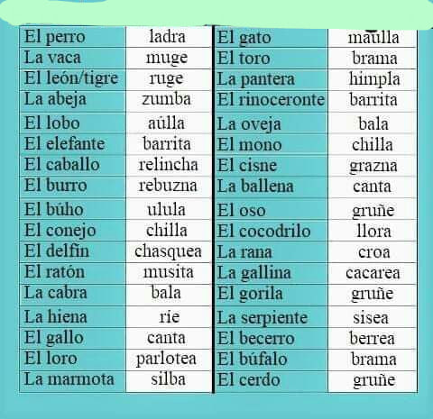 75153932_2001636296604931_6536376930961195008_n