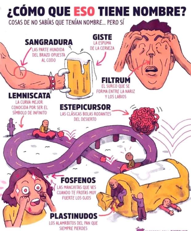 69696936_2564758470214263_2674826793529114624_n