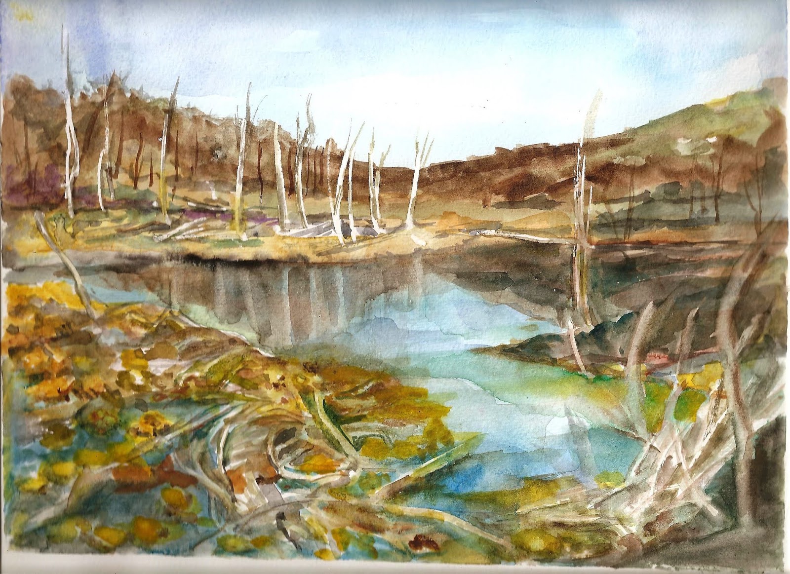 LA MAGIA DEL COLOR: Bosque petrificado en Ushuaia