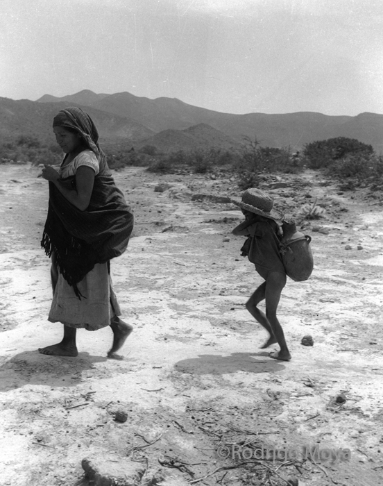 Archivo Fotográfico Rodrigo Moya: 2012